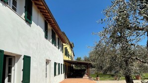A building with a white facade and green shutters, a paved walkway, and a tree with sparse foliage.