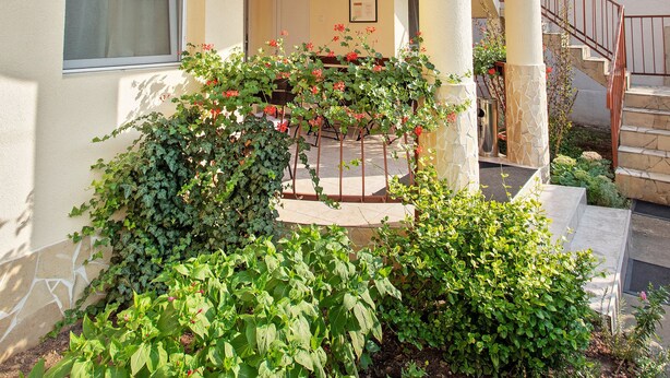 Un edificio con un balcón circular, una escalera y un jardín con diversas plantas.