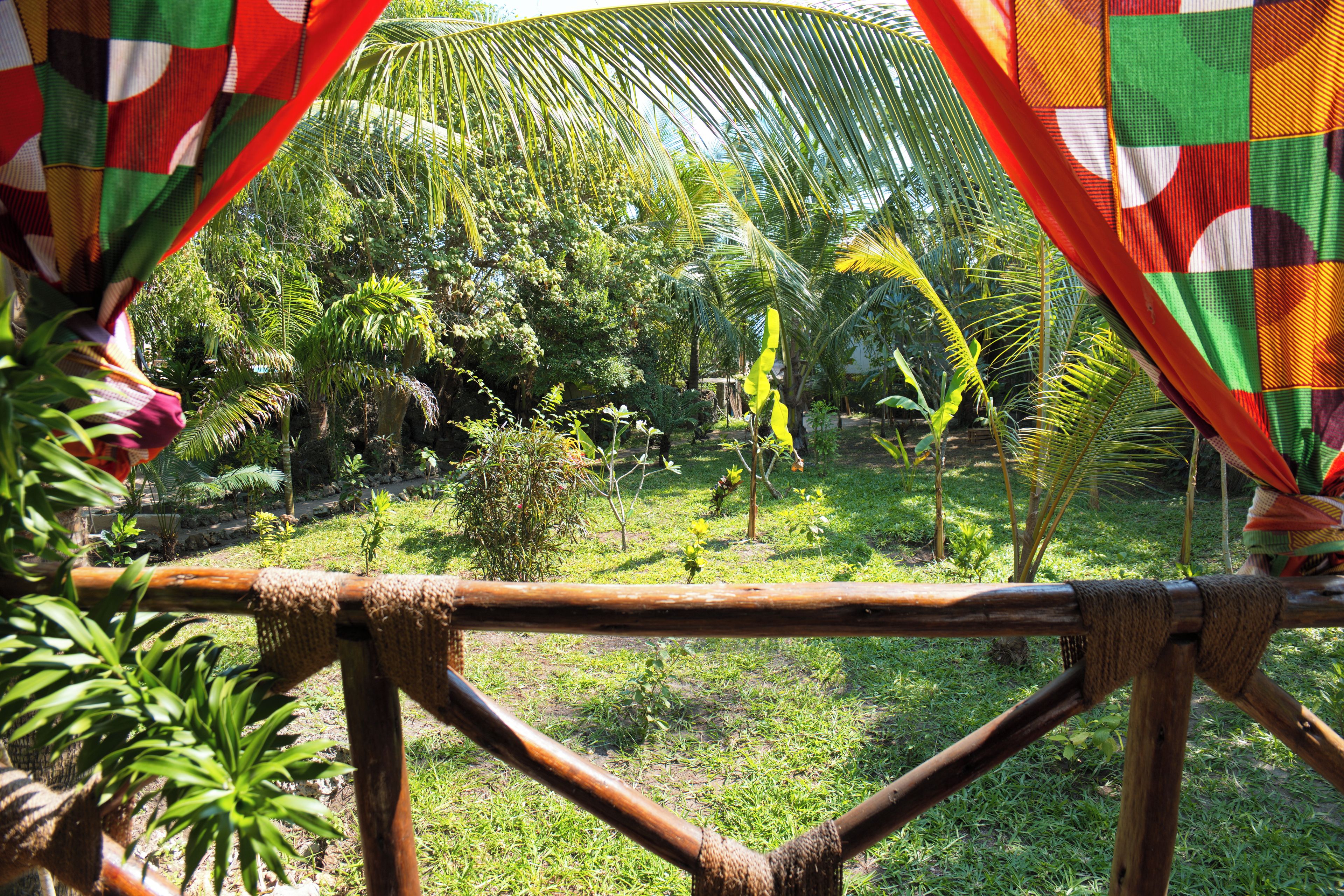 A view from a covered area with a wooden frame, overlooking a garden with various plants and a palm tree.