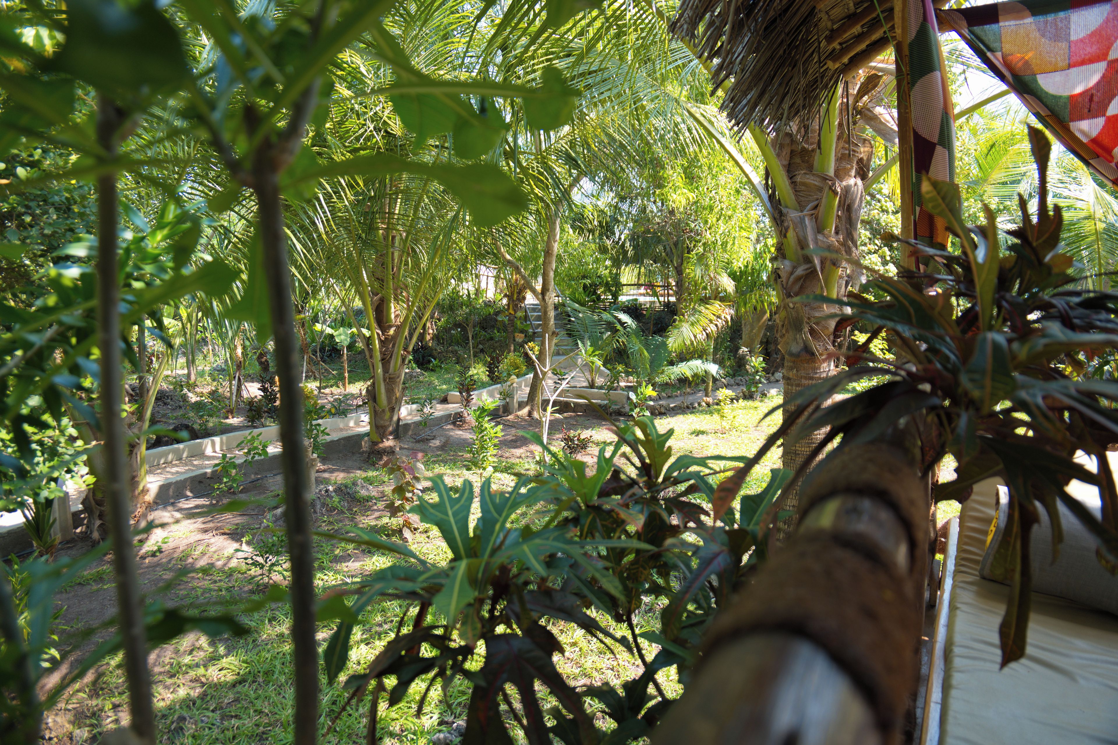 A lush garden with various tropical plants and trees, a thatched roof structure, and a paved pathway.