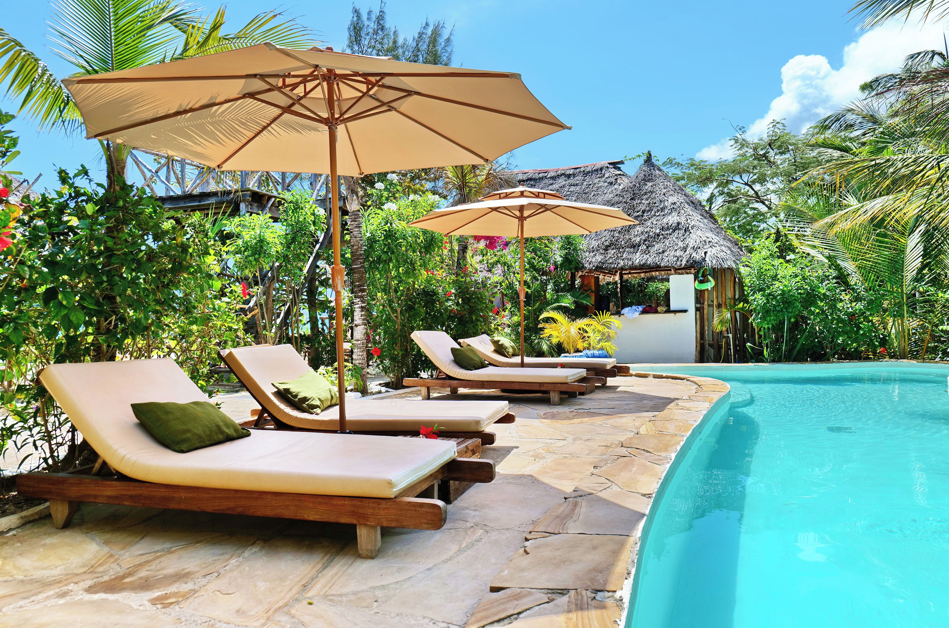 Un área junto a la piscina con sillones de descanso y sombrillas, rodeada de exuberante vegetación y una estructura con techo de paja.