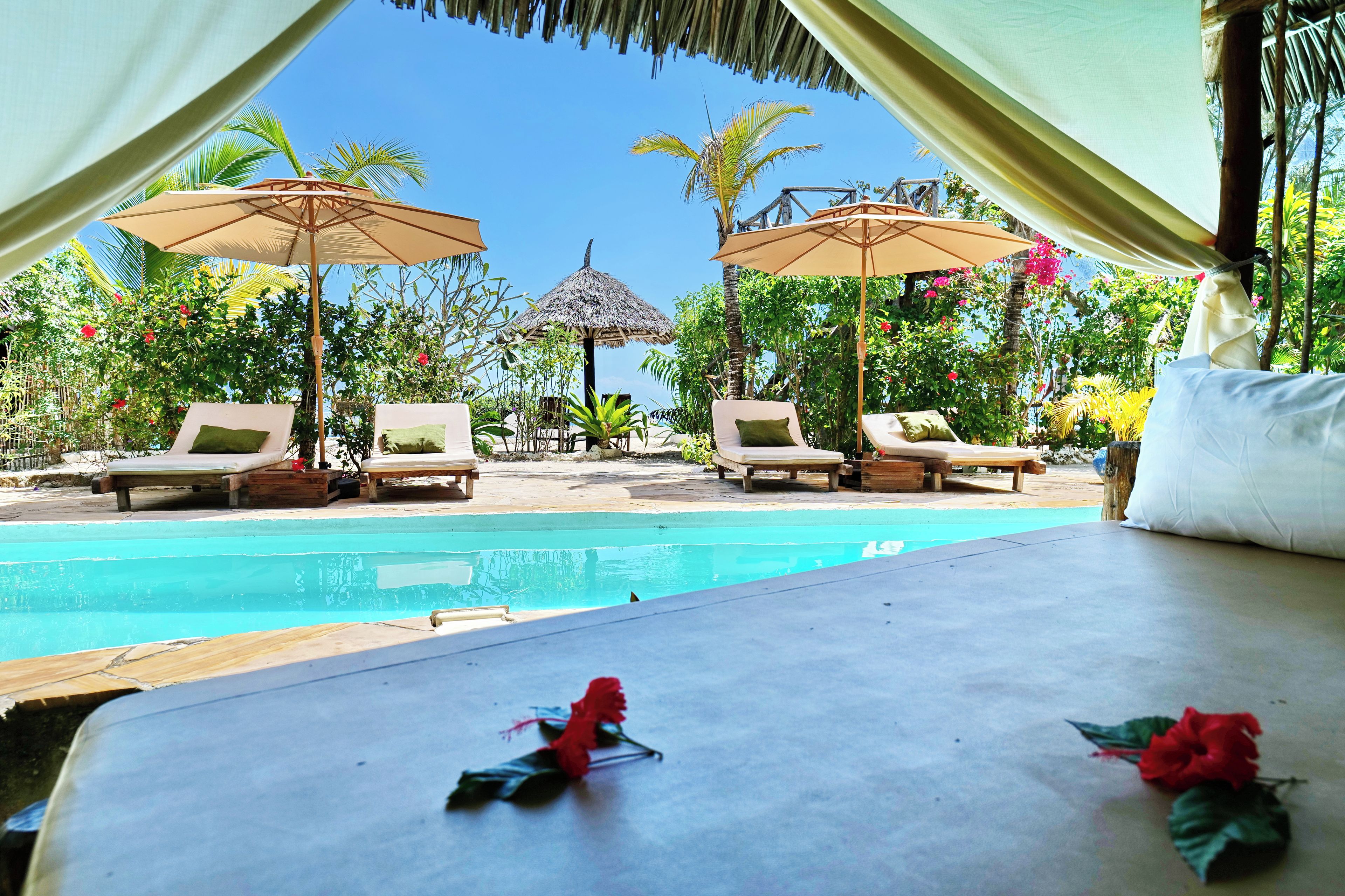 A poolside area with lounge chairs and umbrellas, surrounded by tropical plants and a clear sky.