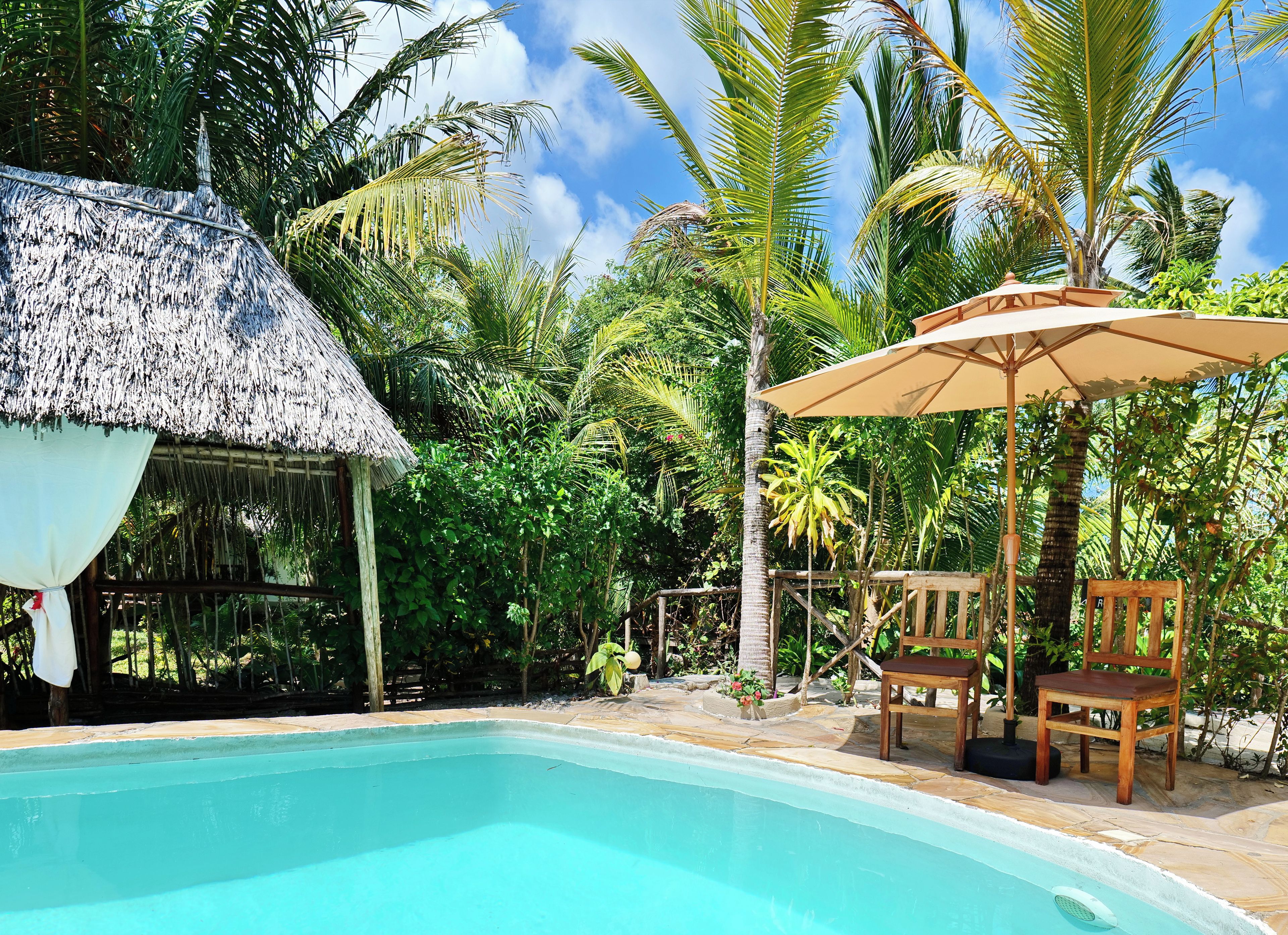 A pool area with a thatched-roof structure, wooden chairs, and lush tropical vegetation.