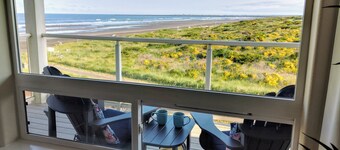 932 Pawfect Beachy Vibes - Incredible Ocean view