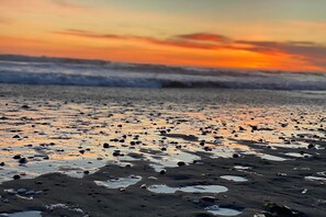 On the beach - 611 Surf Shack! Great family beach getaway - Doggies Welcome (Westport)