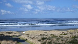 A coastal path with a bench, leading to the ocean.