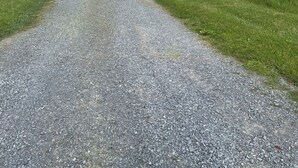 A gravel path leading to a building with a red roof, surrounded by green fields and trees. - RV lot Hook Up, 5 minutes off I 80. Peacefully hidden behind our vintage barn.  (Loganton)