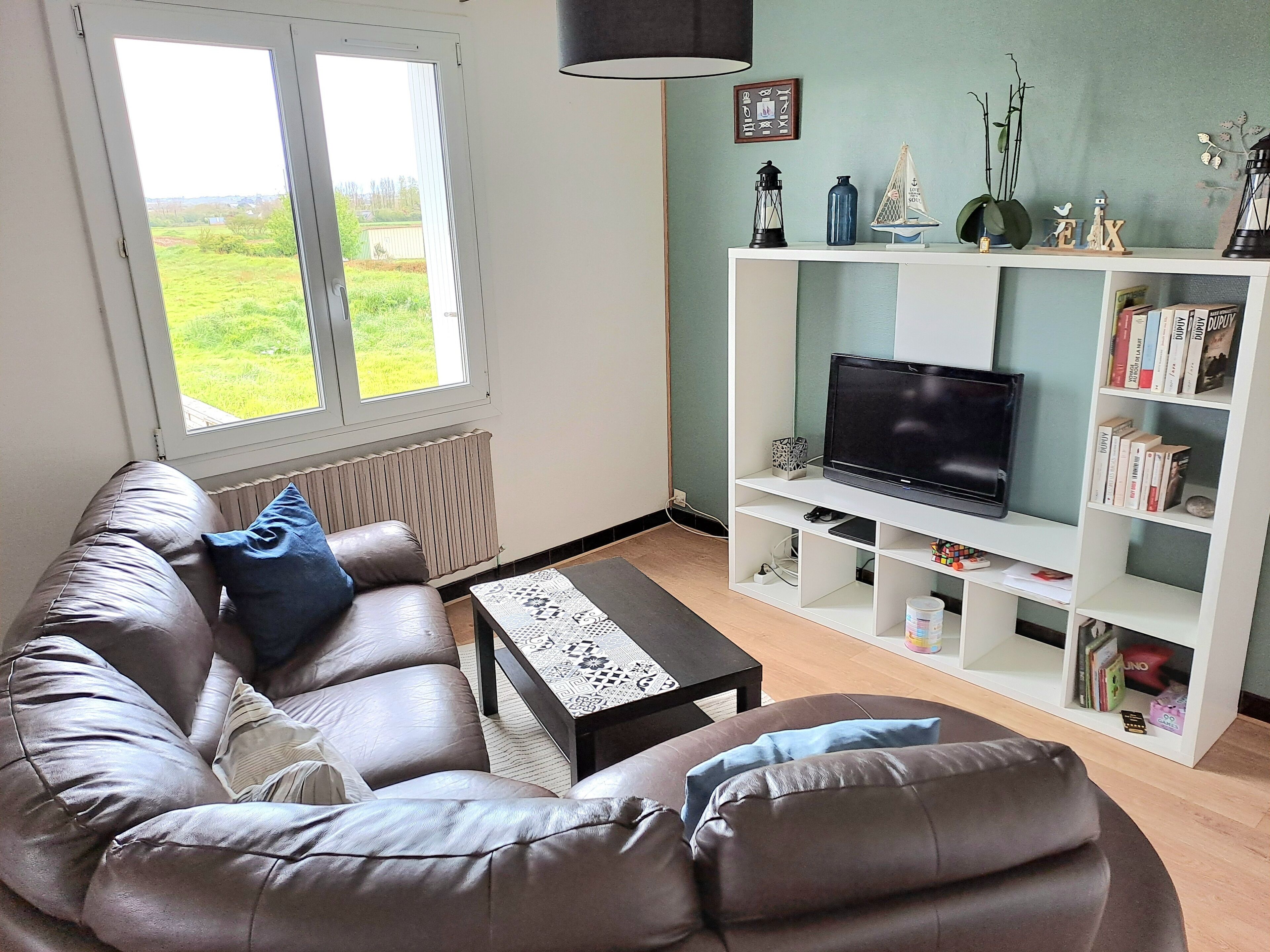 Télévision, livres