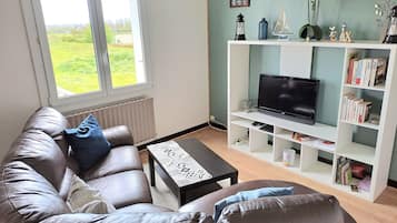 TV og bøker
