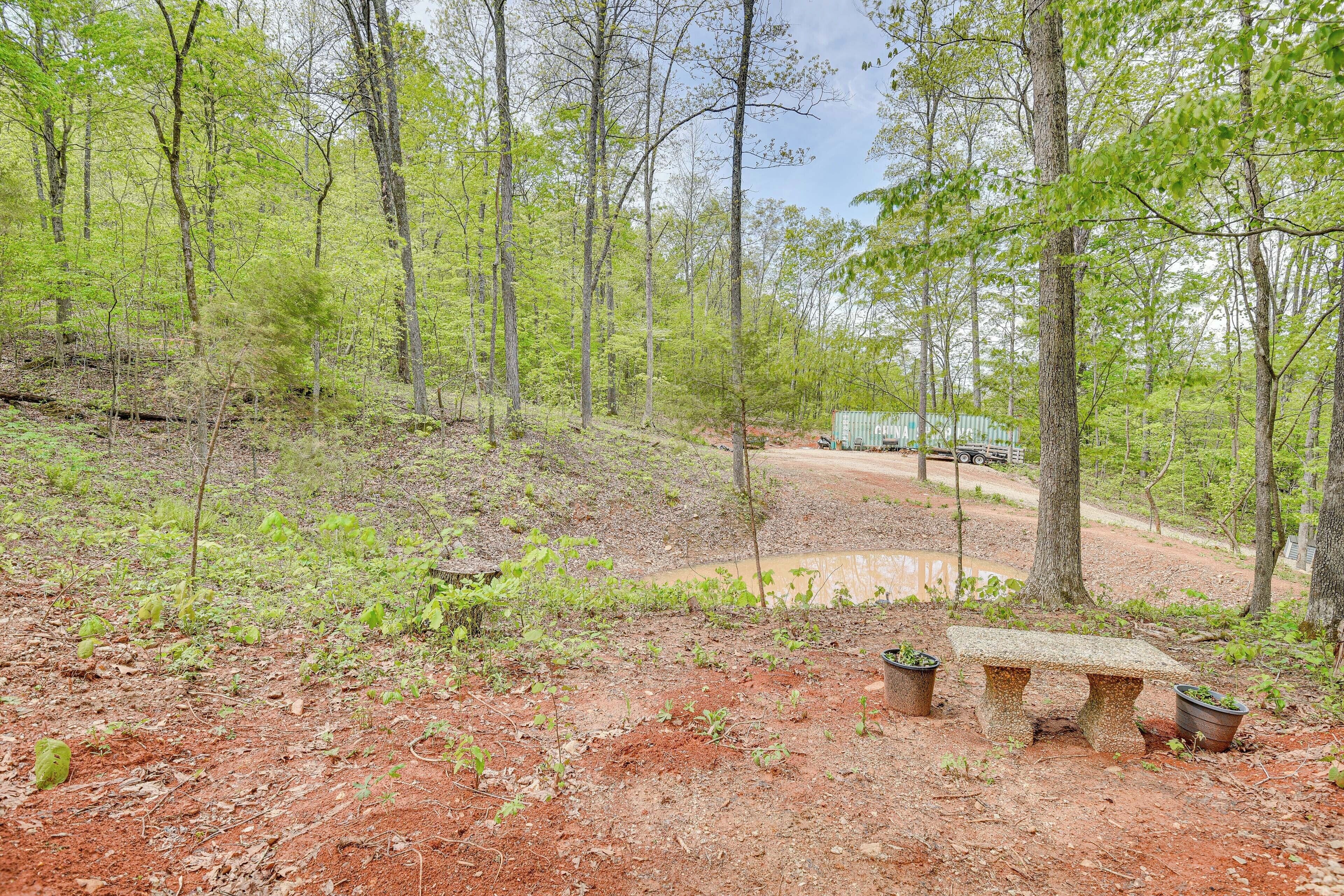 A forested area with a dirt path, a bench, and a small table with potted plants.