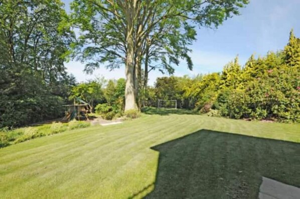A well-maintained lawn with a large tree and a wooden bench.