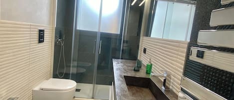 Regadera, secadora de cabello, bidet, toallas