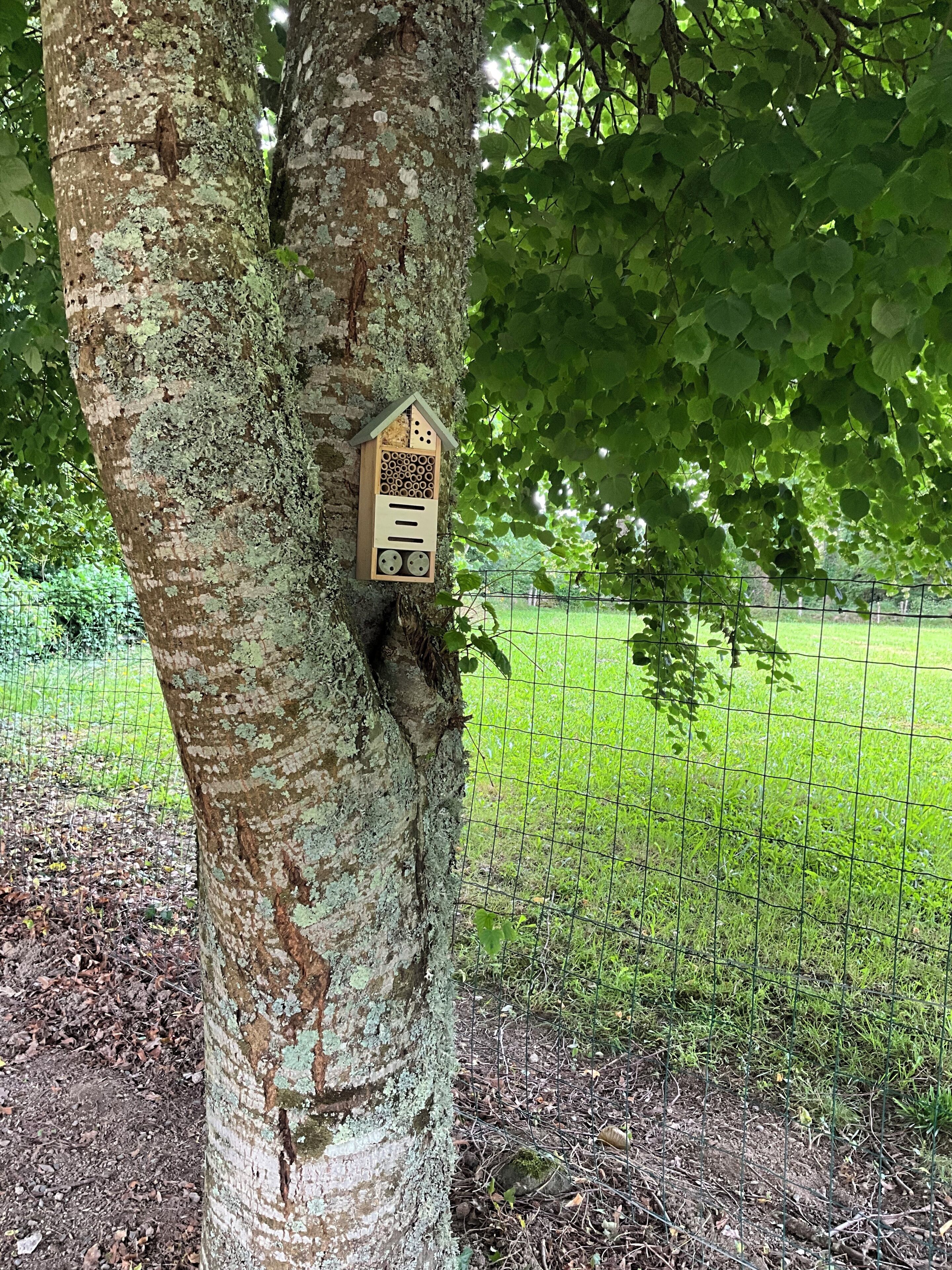Un arbre auquel est fixée une nichoir, entouré d’une clôture en fil de fer et de verdure.