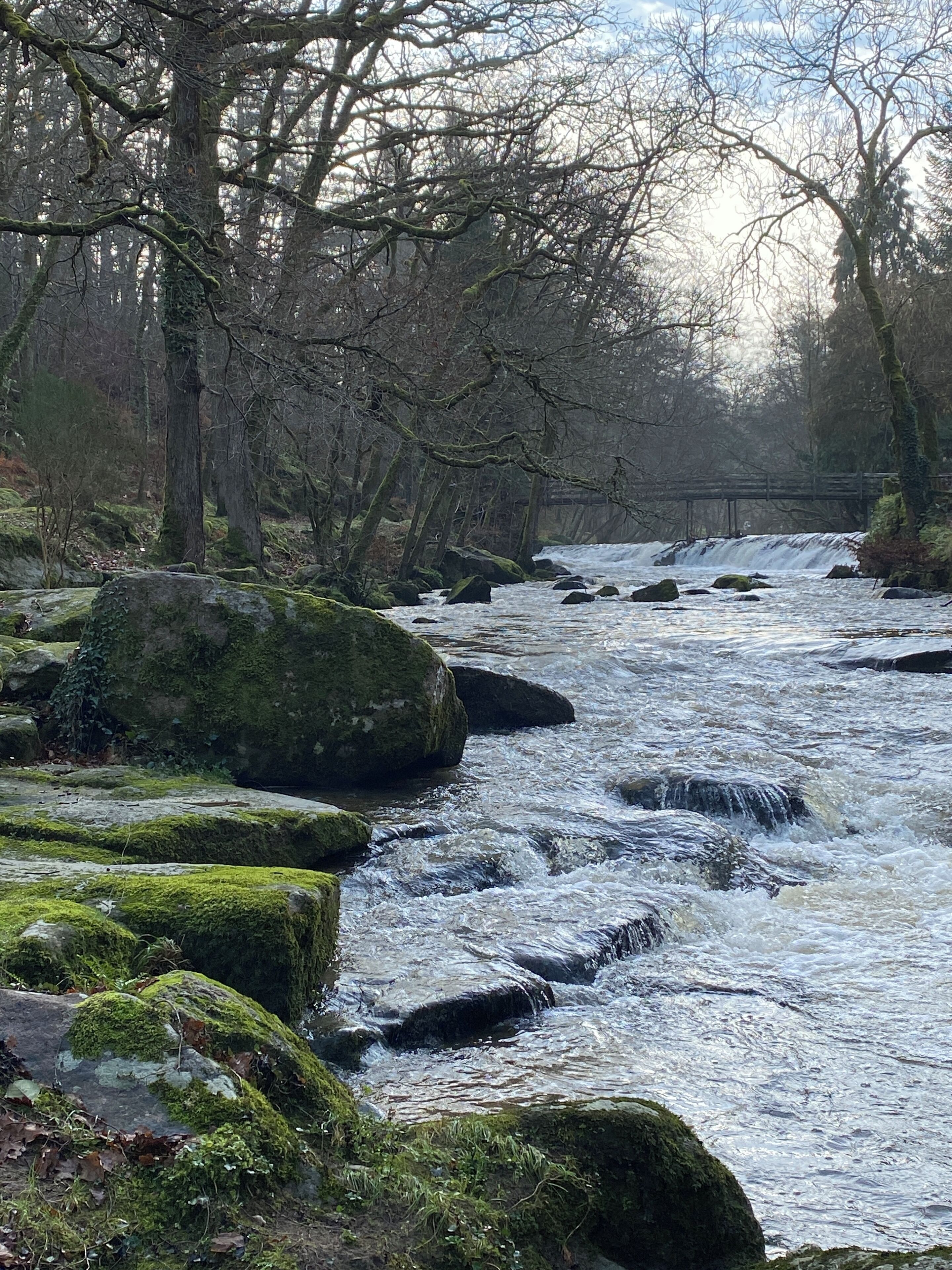 Een rivier die door een bos stroomt, met mosbedekte rotsen en een houten brug op de achtergrond.