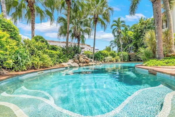 A clear swimming pool surrounded by lush greenery and palm trees.