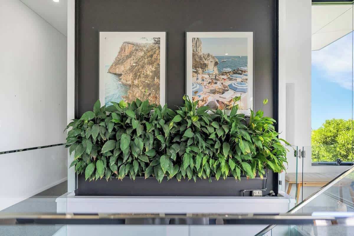A modern interior with two framed coastal landscape paintings, a lush green plant in the foreground, and a glass railing.