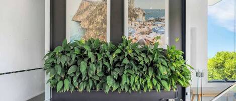 A modern interior with two framed coastal landscape paintings, a lush green plant in the foreground, and a glass railing.