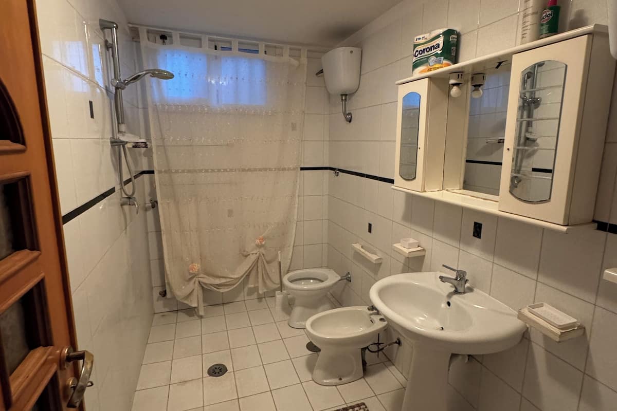 A bathroom with a shower, toilet, bidet, sink, and a mirror.
