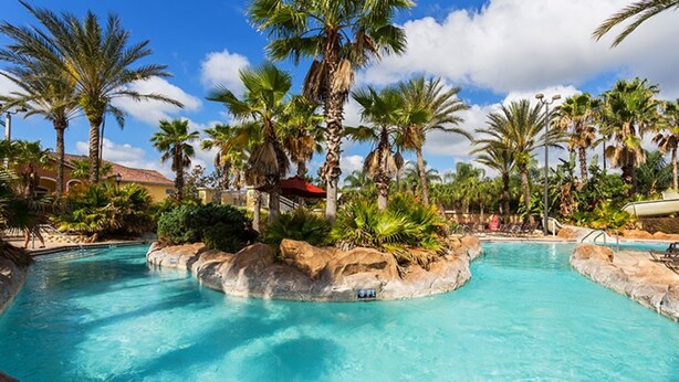 A pool area with clear blue water, surrounded by palm trees and rocks.