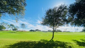 Um campo de golfe com uma única árvore em primeiro plano, grama bem cuidada e céu claro.