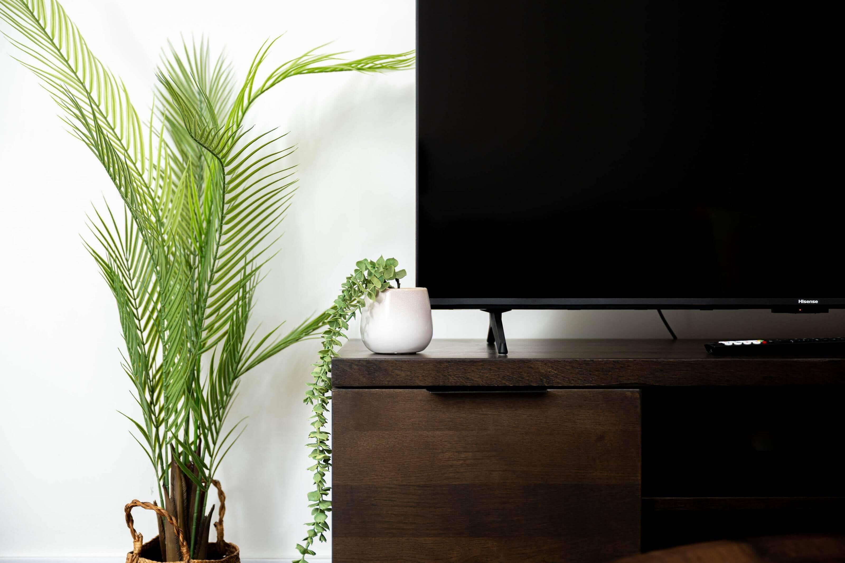 Basic Apartment | Living area | 47-inch Smart TV with digital channels, Netflix, streaming services