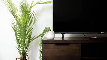 Basic Apartment | Living area | 47-inch Smart TV with digital channels, Netflix, streaming services