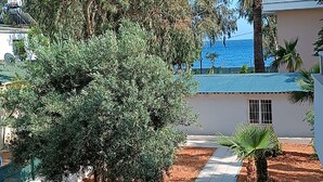 A courtyard with a pathway, a palm tree, and a small building with a blue roof.