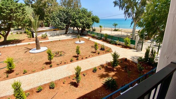 A courtyard with a paved walkway, small trees, and a view of the beach.