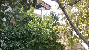 A stone wall with a tiled roof, a stone staircase, and lush greenery. - AMPLE PLACES Polytimo House
Traditional house in the center of Lefkara village (Pano Lefkara)