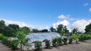 Un invernadero con techo transparente, rodeado de diversas plantas y árboles.