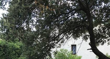 Typique Villa provençale sur 2 étages avec piscine