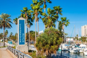 Marina - Location! Spacious Condo I 5 Minutes to Beach/Shops (Clearwater Beach)