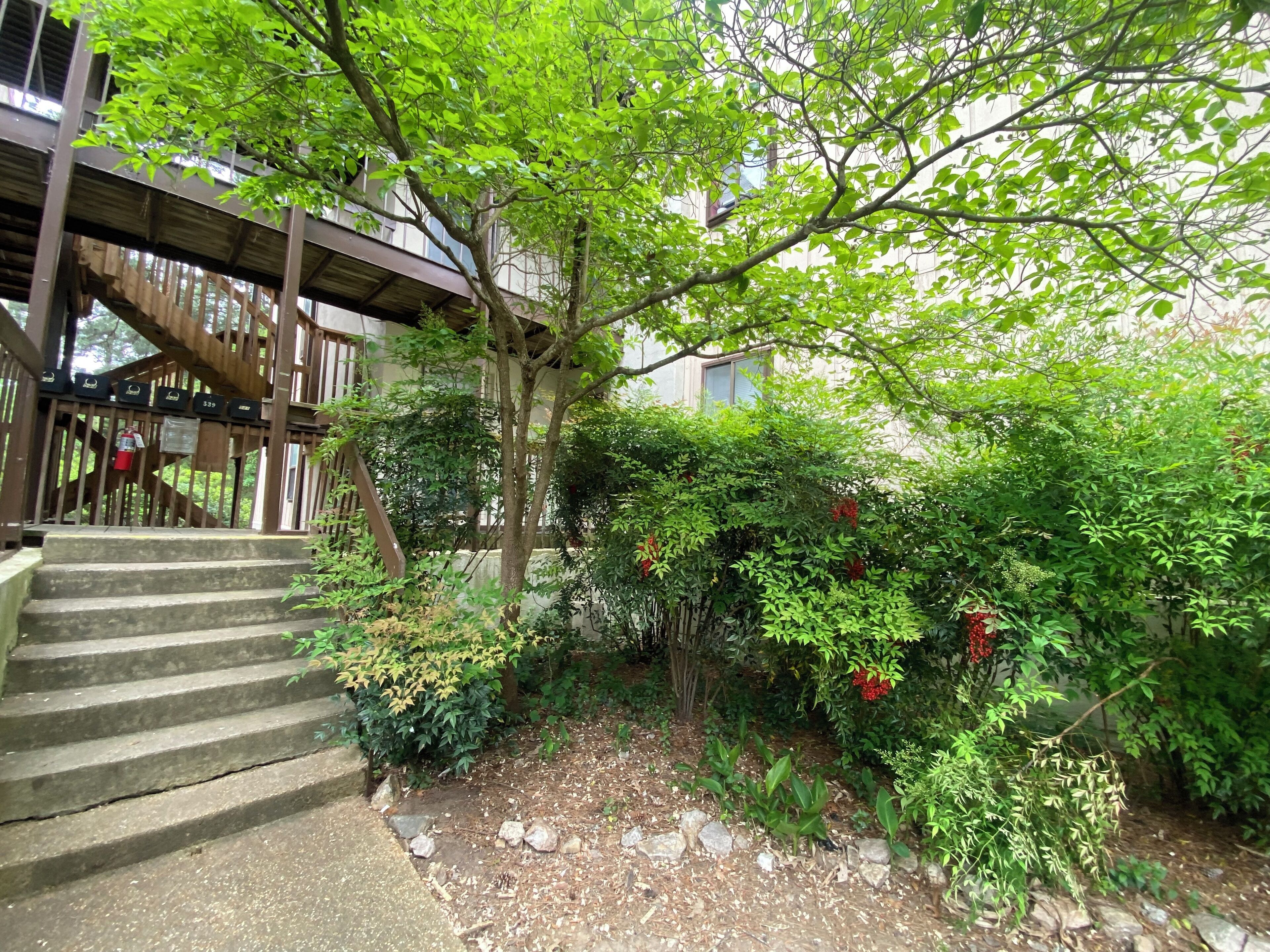 Forget Your Worries In This Spacious & Serene Space!