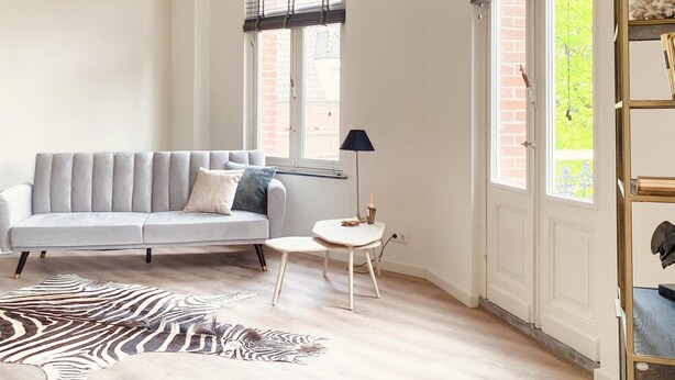 A living room with a grey sofa, a zebra print rug, a small round table, and a floor lamp. - Stylish Apartment in Centre of Maastricht (Maastricht)