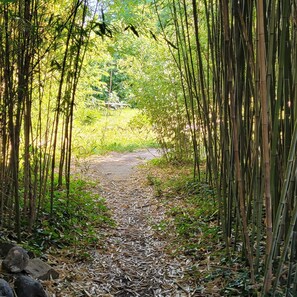 Overnattingsstedets uteområder