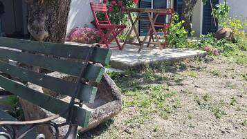 Terras