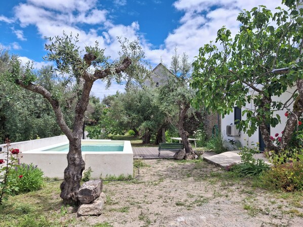 Outdoor pool - Remodeled Rustic House, with Terrace and Garden (Águas)