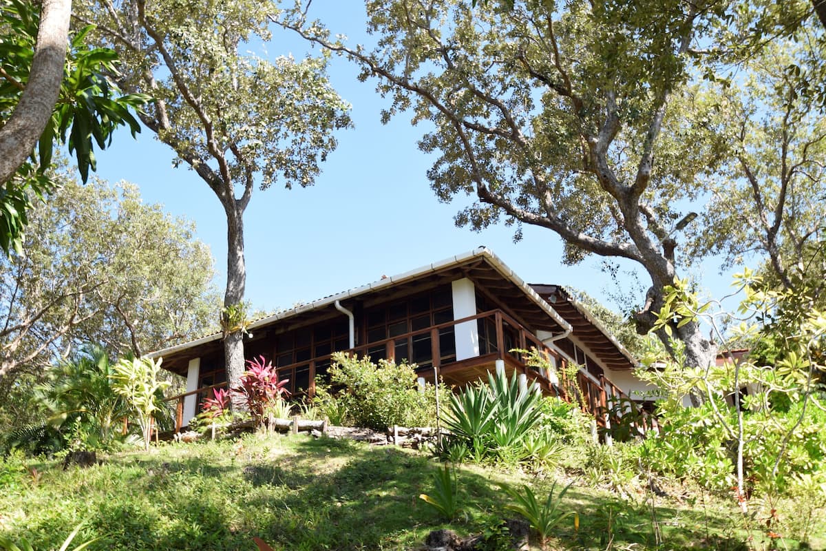 Uma casa de madeira rodeada por vegetação densa e árvores.