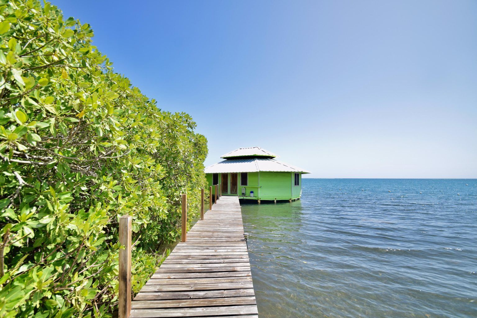 A wooden pier leading to a green building with a sloped roof, surrounded by dense green foliage and calm water.