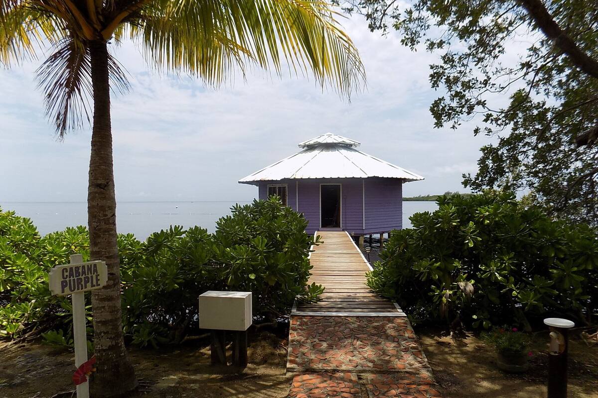 Uma trilha de madeira leva a um pequeno edifício térreo com telhado branco, cercado por vegetação exuberante e uma placa com a inscrição 'CABANA PURPLE'.