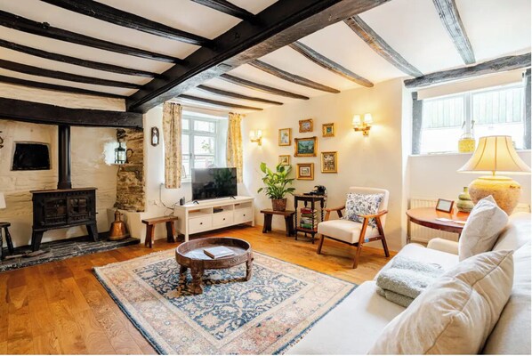 Smart TV, fireplace, video games, DVD player