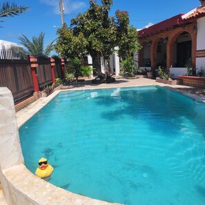 Outdoor pool - Bright, big, pool, 5 min 2 beach (Carolina)