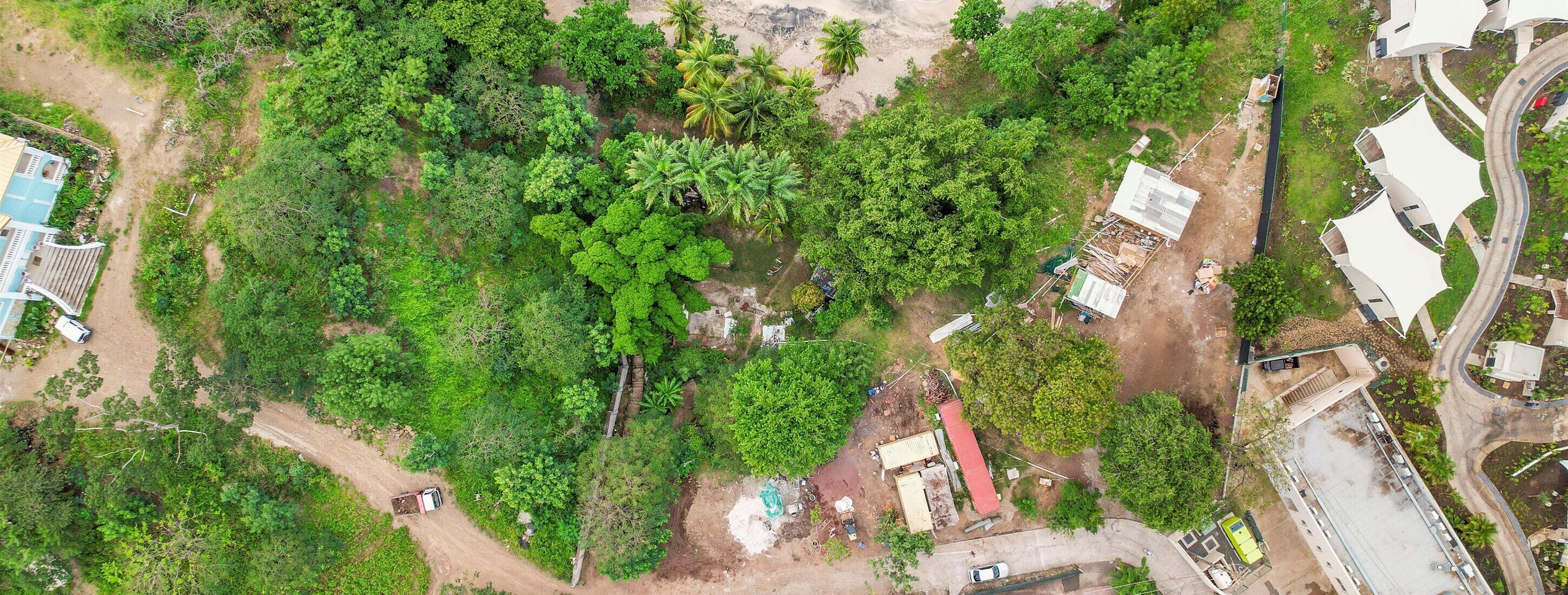 Vista aèria d'una propietat plena de vegetació, un camí de terra i edificis dispersos.