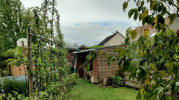 Un jardin agrémenté d’une structure en bois, d’un petit abri de jardin et d’une zone herbeuse.
