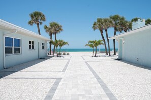 A pathway leading to a beach with palm trees and a clear view of the ocean.