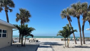 A beachfront property with a paved walkway, palm trees, and beach chairs. - Bayview Oasis on Casey Key with canal view - short walk to private beach! (Nokomis)
