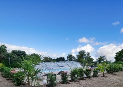 In the countryside between Lac du Der and the lakes and forests of the Orient, Le martin pecheur 