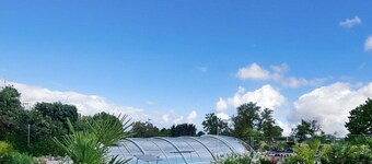 In the countryside between Lac du Der and the lakes and forests of the Orient, Le martin pecheur