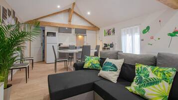 Televisie, een open haard en boeken