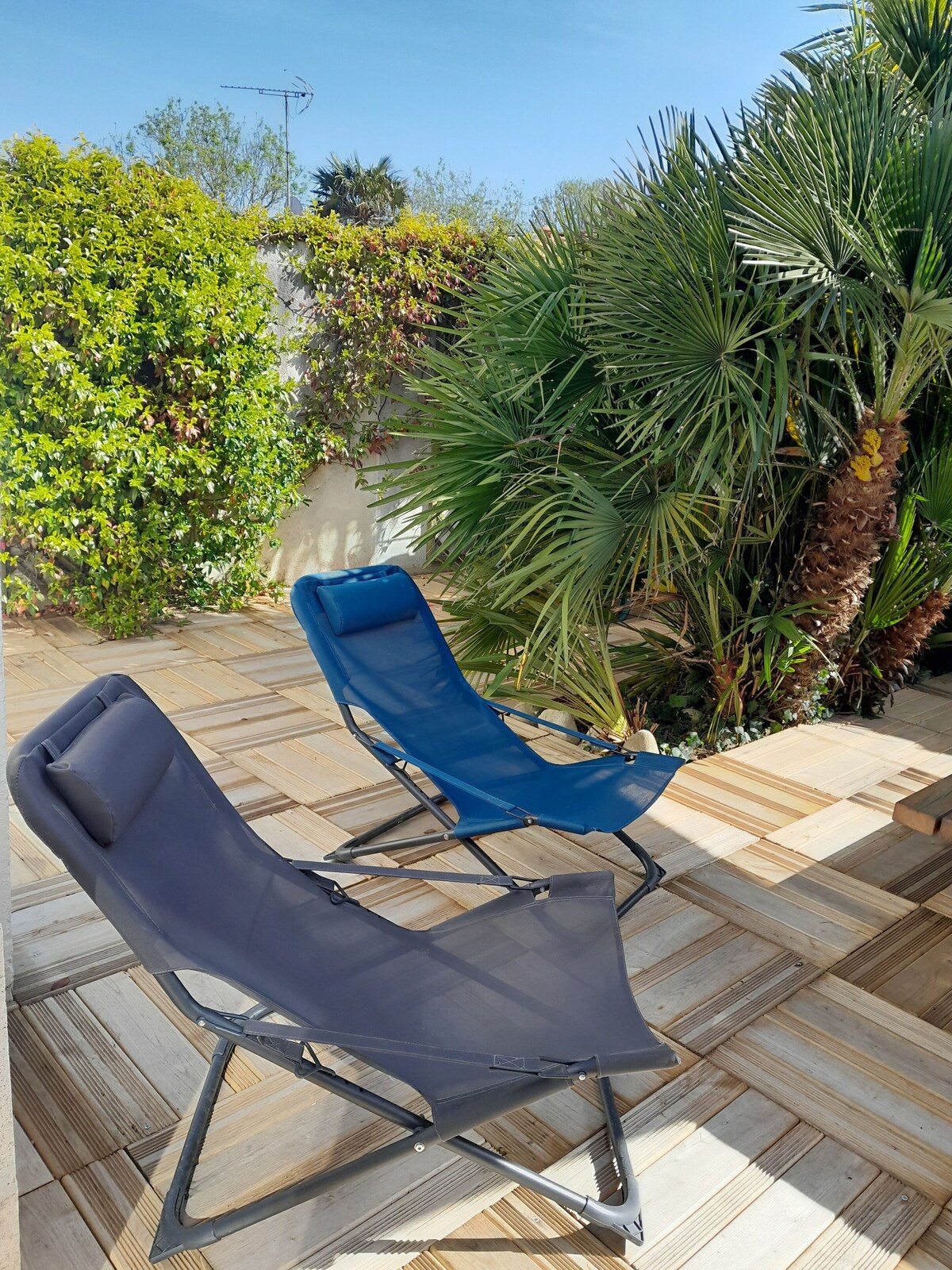 Image de profil de l’hôte